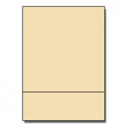 Perforated at 3-1/2 Bristol Cover Ivory 8-1/2x11 67lb 250/pk