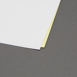 Pre-Perfed Carbonless 2-Part 8-1/2x11-1/2 250forms/pkg