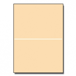 Half-Fold Brochure 11x17 65lb Astroparche Ancient Gold 125pk