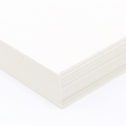Environment Birch Cover 11x17 80lb 250/pkg