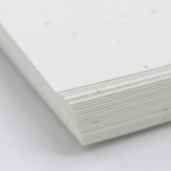 CLOSEOUTS Stardust White Astrobright Cover 8-1/2x11 80lb 250/pkg