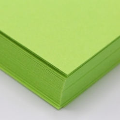 Astrobright Terra Green 80lb/216g Cardstock 18x12 250/pkg