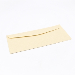 Astroparche Envelope Aged #10 24lb 500/box