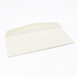Astroparche Envelope Gray #10 24lb 500/box