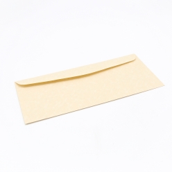 CLOSEOUTS Astroparche Envelope Sand #10 24lb 500/box