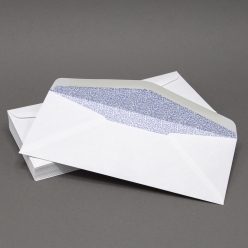 Security Tint #9 24lb Regular Envelope 500/box