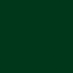 Plike Text Green 11x17 95lb/140g 100/pkg