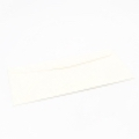 Environment PC100 Natural Envelope #10 24lb 500/box