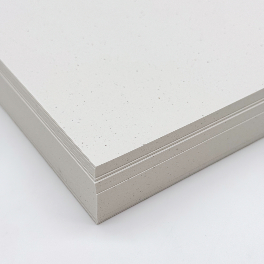 CLOSEOUTS Environment Birch 24lb/90g Paper 8-1/2x11 500/pkg
