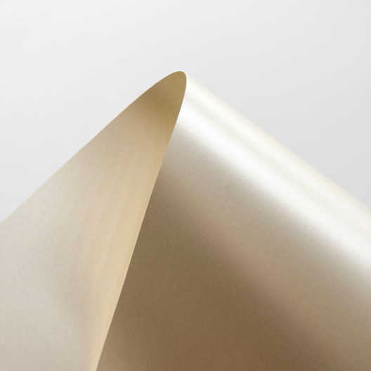 Grafitti Digital Polyester Pearlescent Champagne 8-1/2x11 8mil/250g 50/pkg