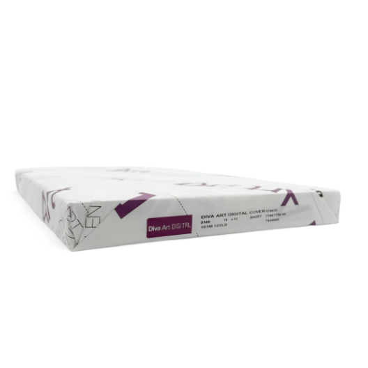 WE'RE OVERSTOCKED!! Diva Art Semi Gloss Coated 1-Side Cover 16pt/300g 18x12 100/pkg