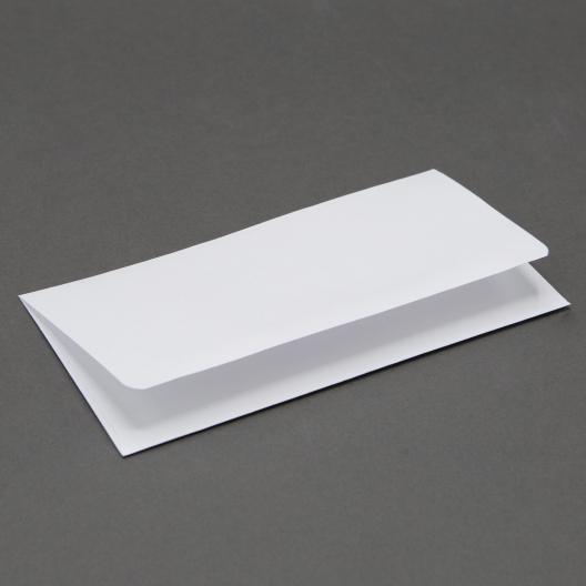 Remittance #9 24lb Envelope 500/box