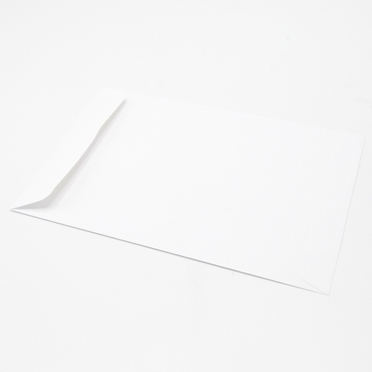 White Catalog 10x13 24lb 500/box