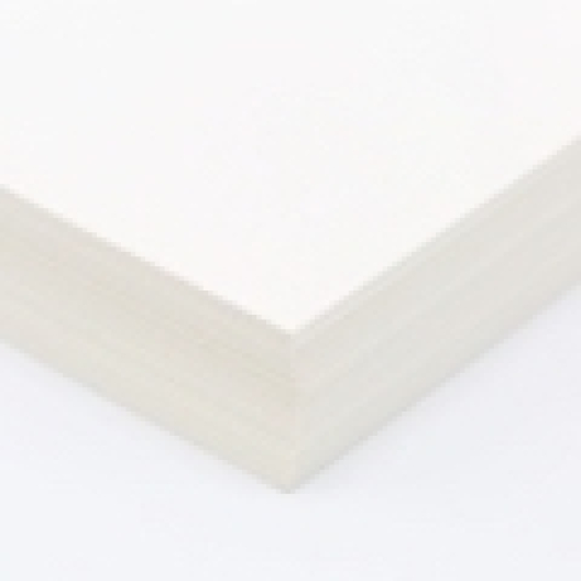 Environment 100% Recycled Natural 80lb/216g Cover 8-1/2x11 250/pkg