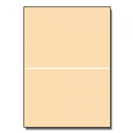 Perforated at 5-1/2 Bristol Cover Ivory 8-1/2x11 67lb 250/pk