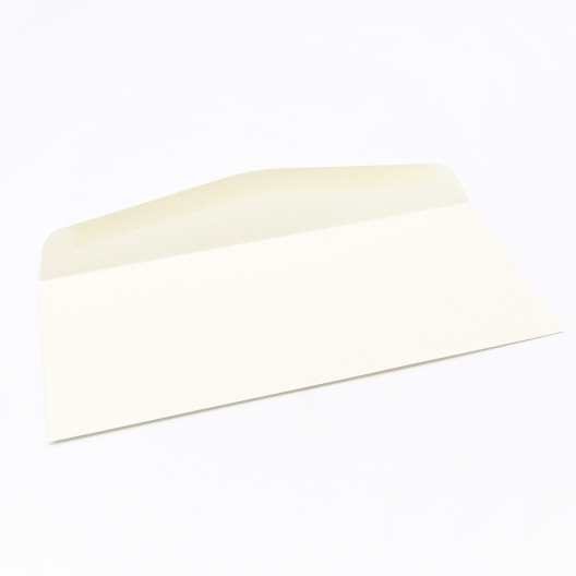 Royal Fiber Natural #10 24lb Envelope 500/box