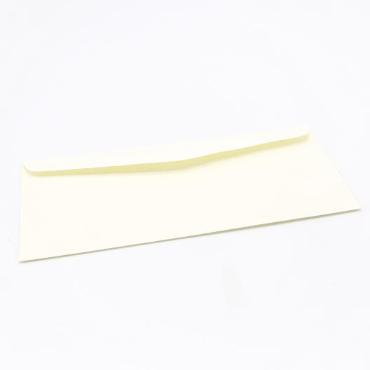 Strathmore Writing Envelope #10 24lb Ivory Laid 500/box
