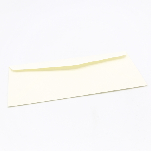 Strathmore Writing Envelope #10 24lb Ivory Laid 500/box