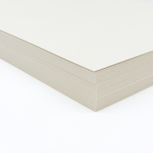Speckletone Madero Beach 100lb/271g Cardstock 8-1/2x11 100/pkg