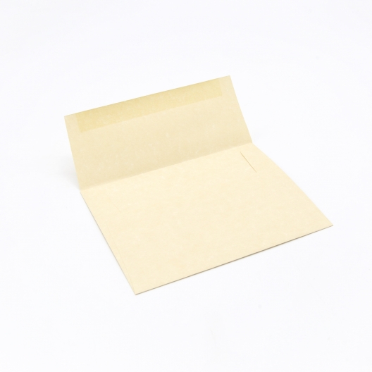 Astroparche Envelope Aged A-6[4-3/4x6-1/2] 250/box