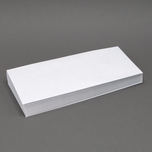 Security Tint #6-3/4 24lb Regular Envelope 500/box