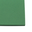 Colorplan Forest Green 8.5x11 130lb cover 48pk