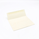 Astroparche Envelope Natural A-2[4-3/8x5-3/4] 250/box