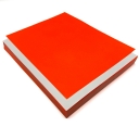 Fluorescent Red 8-1/2x11 Self-Adhesive Label Paper 100/pkg