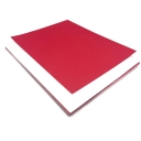 Astrobright Re-Entry Red 8-1/2x11 Label Paper 100/pkg