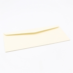 CLOSEOUTS Classic Laid Nat White #10 75lb Peel&Seal Envelope 500/box