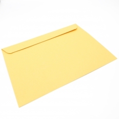 Brown Kraft Booklet 6x9 24lb Envelope 500/box