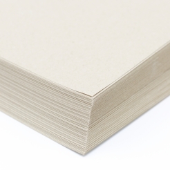 Environment Desert Storm Double Thick Cover 8-1/2x11 120lb 100/pk