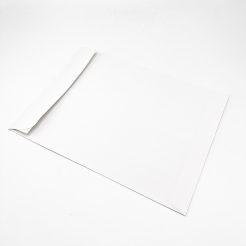 Peel & Seal White Catalog 9x12 28lb 500/box