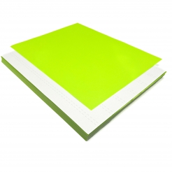 Astrobright Terra Green 8-1/2x11 Label Paper 100/pkg