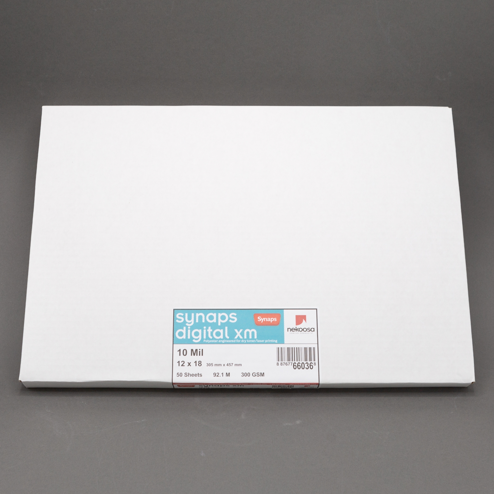 Warm White Cardstock - 12 x 12 inch - 80Lb Cover - 50 Sheets - Clear Path  Paper