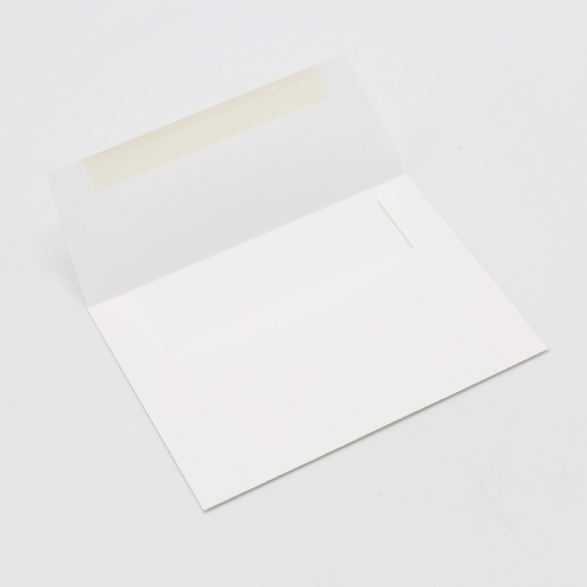 Finch Opaque Vellum Bright White A10 Envelope 250/pkg Paper