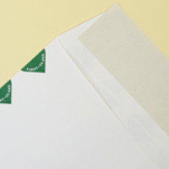  First Class Peel&Seal  White GDB 9-1/2x12-1/2 14lb Tyvek Envelope 100/box 