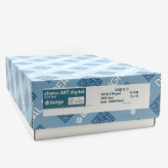  Chorus Art Recycled Digital Silk 100lb/148g Paper 12x18 1000/case 