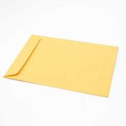 Brown Kraft Catalog 9-1/2x12-1/2 28lb Envelope 500/box 