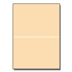  Perforated at 5-1/2 Bristol Cover Ivory 8-1/2x11 67lb 250/pk 