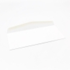  Astroparche Envelope White #10 24lb 500/box 