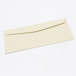  CLOSEOUTS Classic Crest Envelope Saw Grass #10 24lb 500/box 