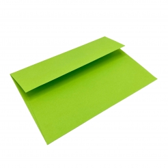  CLOSEOUTS Basis Premium Envelope A2 (4-3/8X5-3/4) Light Lime 50/pkg 