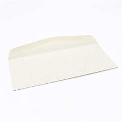  Astroparche Envelope Gray #10 24lb 500/box 