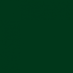  CLOSEOUTS Plike 122lb Cover Green 8-1/2x11 100/pkg 